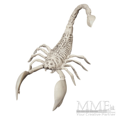 Scorpion Skeleton